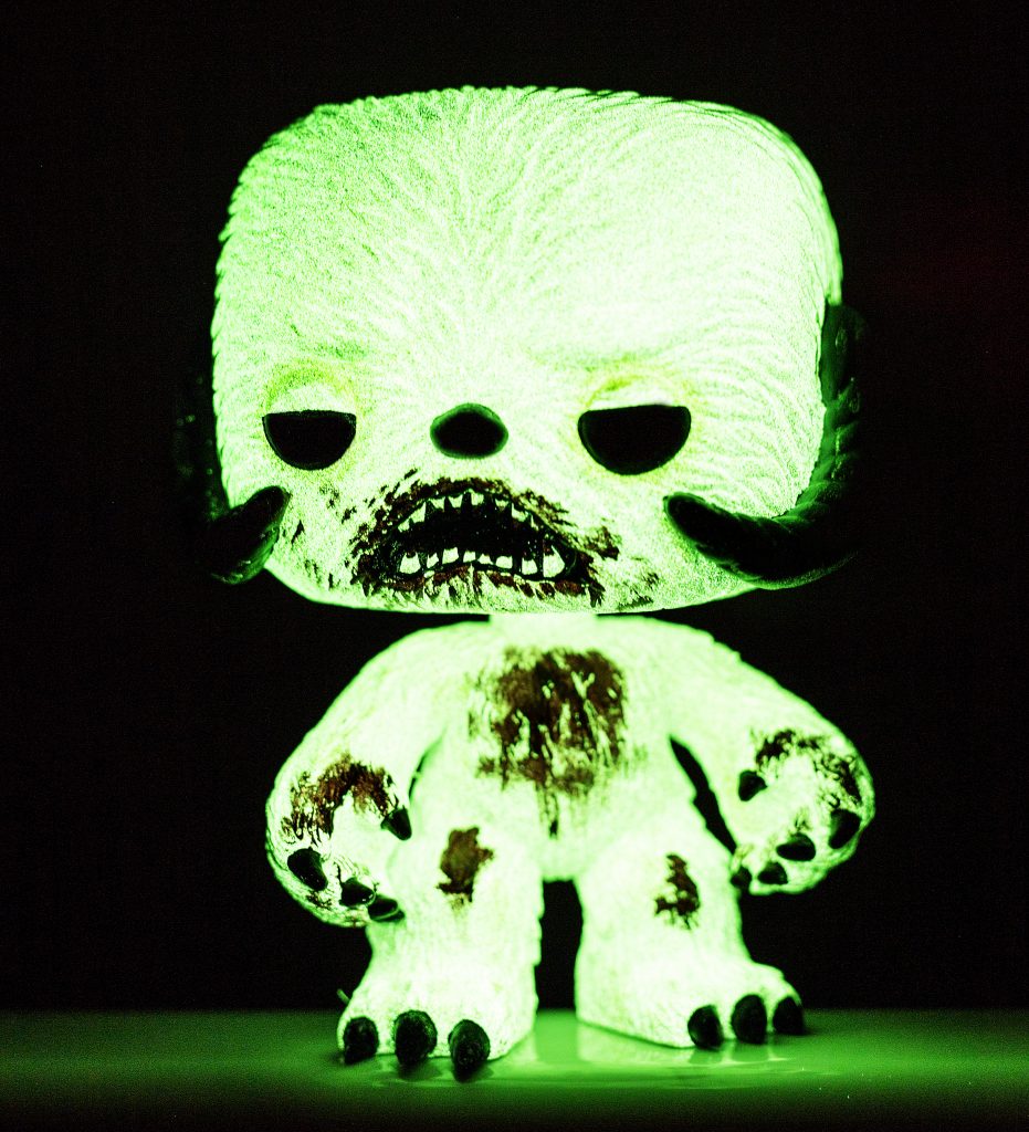 images taken by alan drummond. No use without persmission